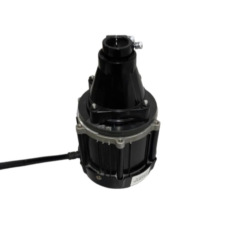 12-60V 500-1500W Brushless Out - Fishing Kayak Trolling Motor recensione e prezzo